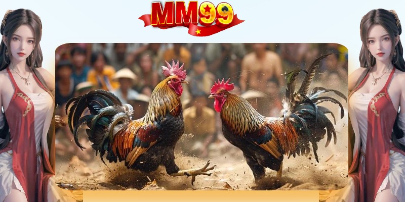 Bật mí vài mẹo của cao thủ chia sẻ khi tham gia chơi đá gà thomo Bật mí vài mẹo của cao thủ chia sẻ khi tham gia chơi đá gà thomo