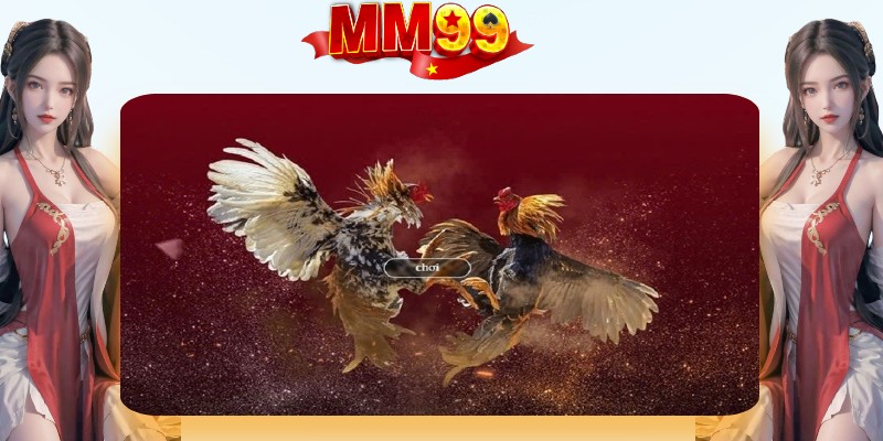Đá Gà MM99 chuyên cung cấp trực tiếp các trận đấu hấp dẫn Đá Gà MM99 chuyên cung cấp trực tiếp các trận đấu hấp dẫn