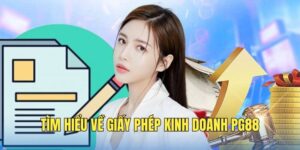 Tổng quan về giấy phép kinh doanh PG88